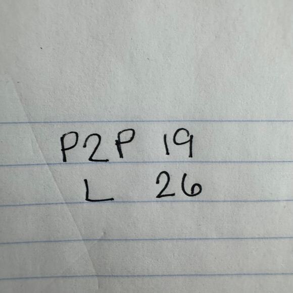 LOFT Top Women XS Pink Embroidered Tie Neck Blouse Cottage Minimal Modest Work - Picture 7 of 7